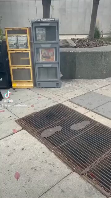 Proof, the ninja turtles exist ￼