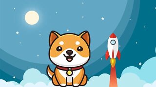 Cripto Hoje 14/5/22 - BabyDoge - cachorrinho galáctico