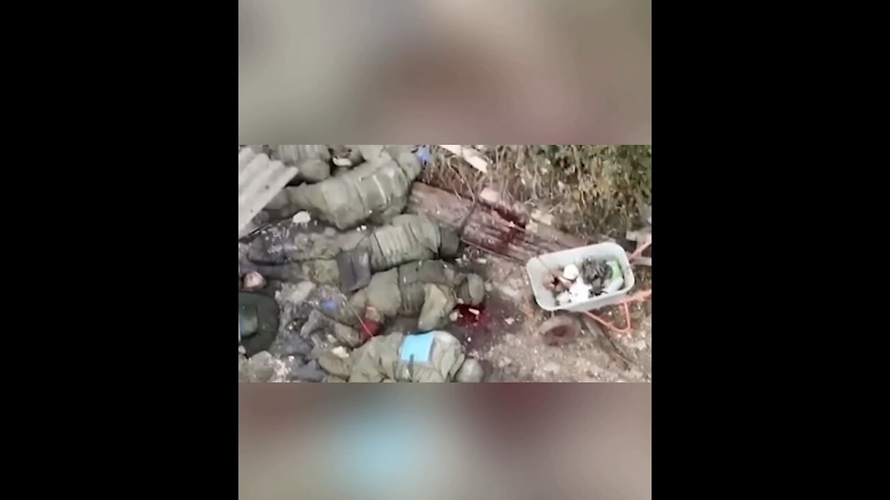 Ukrainian soldiers(nazis) executed captured Russian soldiers