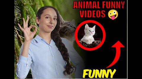 Funny animal videos 😄