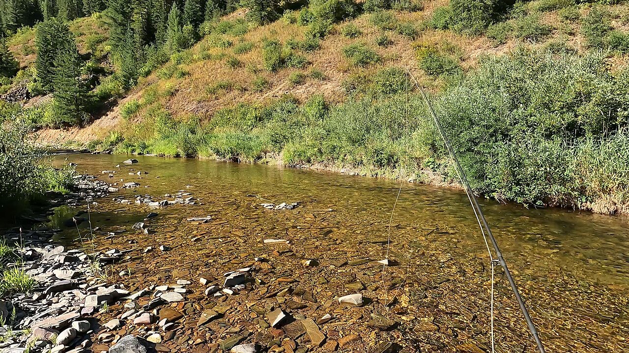 Out of this world gorgeous with a healthy population of native trout!