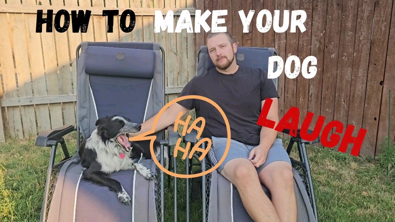 How To Make Your Dog Laugh