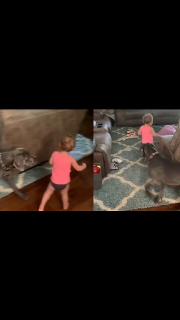 Dog Enjoying | with cute little baby girl | #Entertainment #pets #vira #rumble