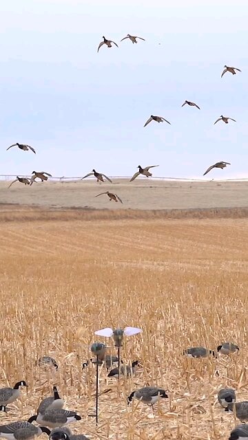 Man is a great deceiver