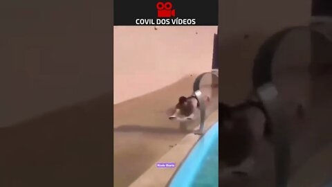 atropelando o próprio carro