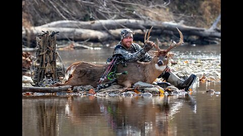 Bowhunting Whitetails - Illinois Public Land Success 2019