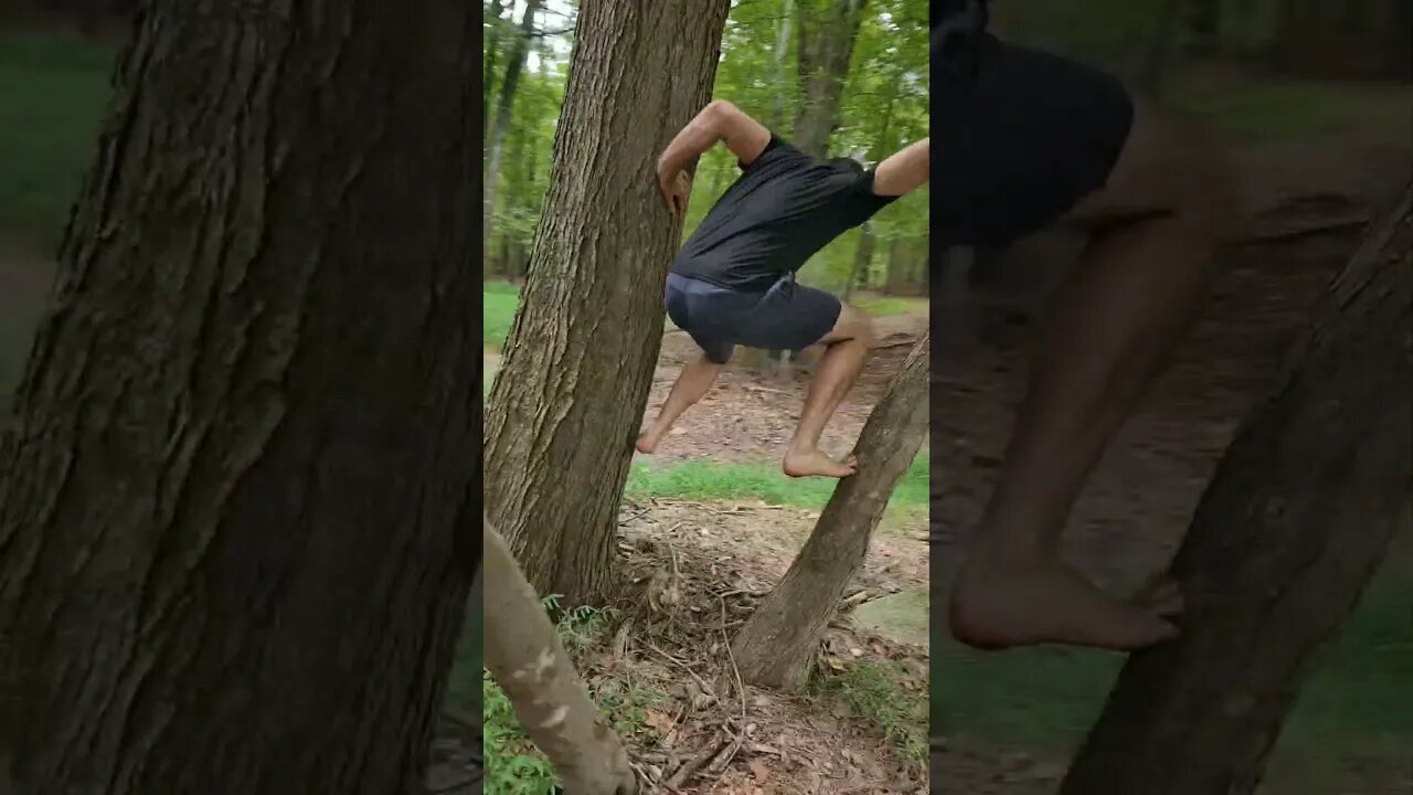 Ronnie Tree Stunts Compilation (Parkour, Flips, and Stunts in Trees)