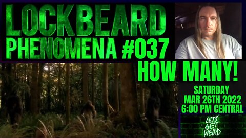 LOCKBEARD PHENOMENA #037 How Many!