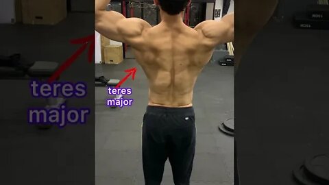 SHREDDED BACK MUSCLE ANATOMY #shorts #youtubeshorts