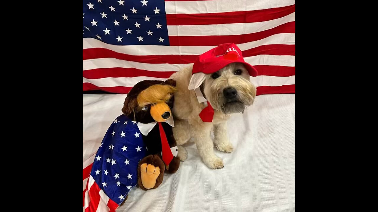 2024 MAGA Teddy