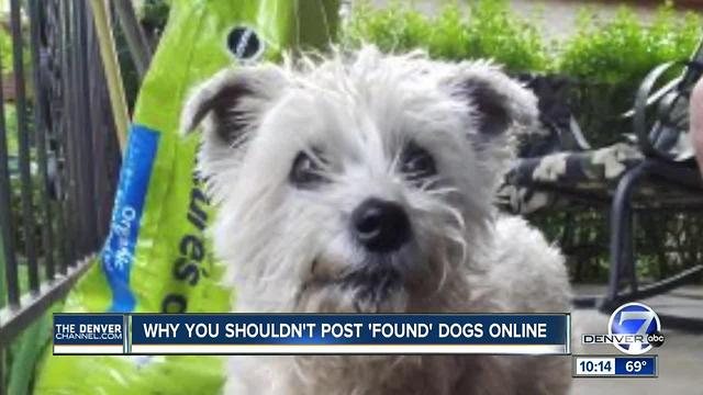 Family says lost dog claimed by a stranger