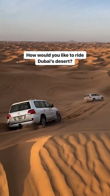 You need go safari tour at dubai #dubai #short #video #funny