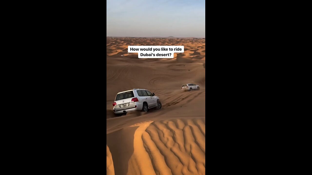 You need go safari tour at dubai #dubai #short #video #funny