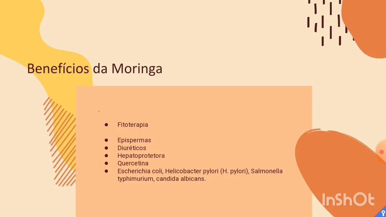 [pt. 6] A moringa contém todos os aminoácidos essenciais que o corpo necessita