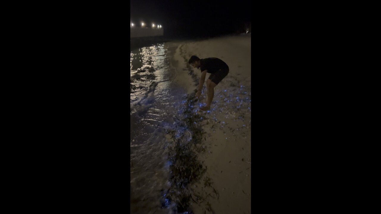 Bioluminescent planktons