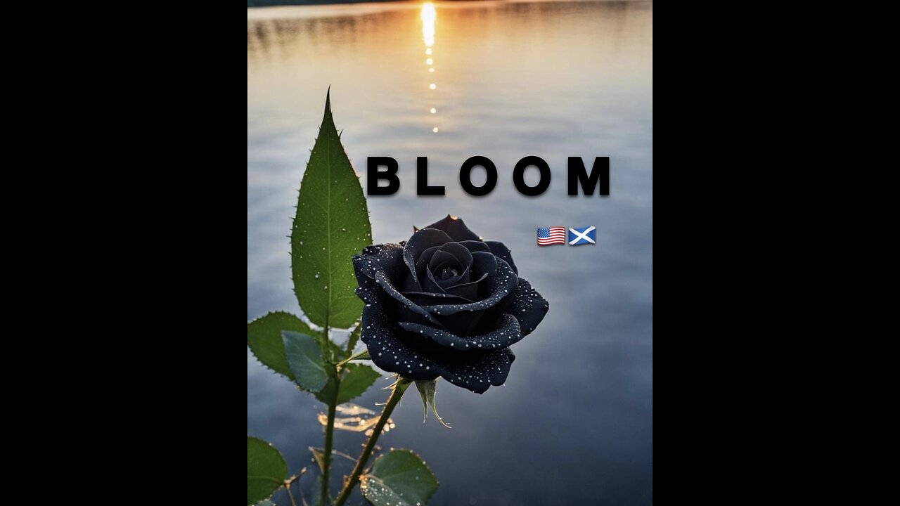 BLOOM