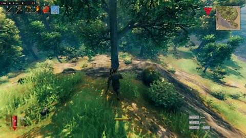 Valheim