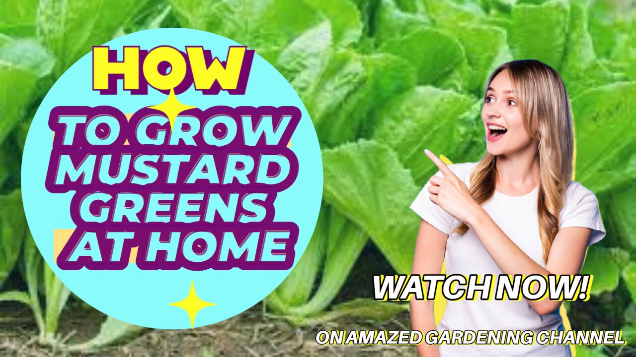 Simple planting method of mustard greens I Amazed Gardening I Gardening tips I Tips for gardenings