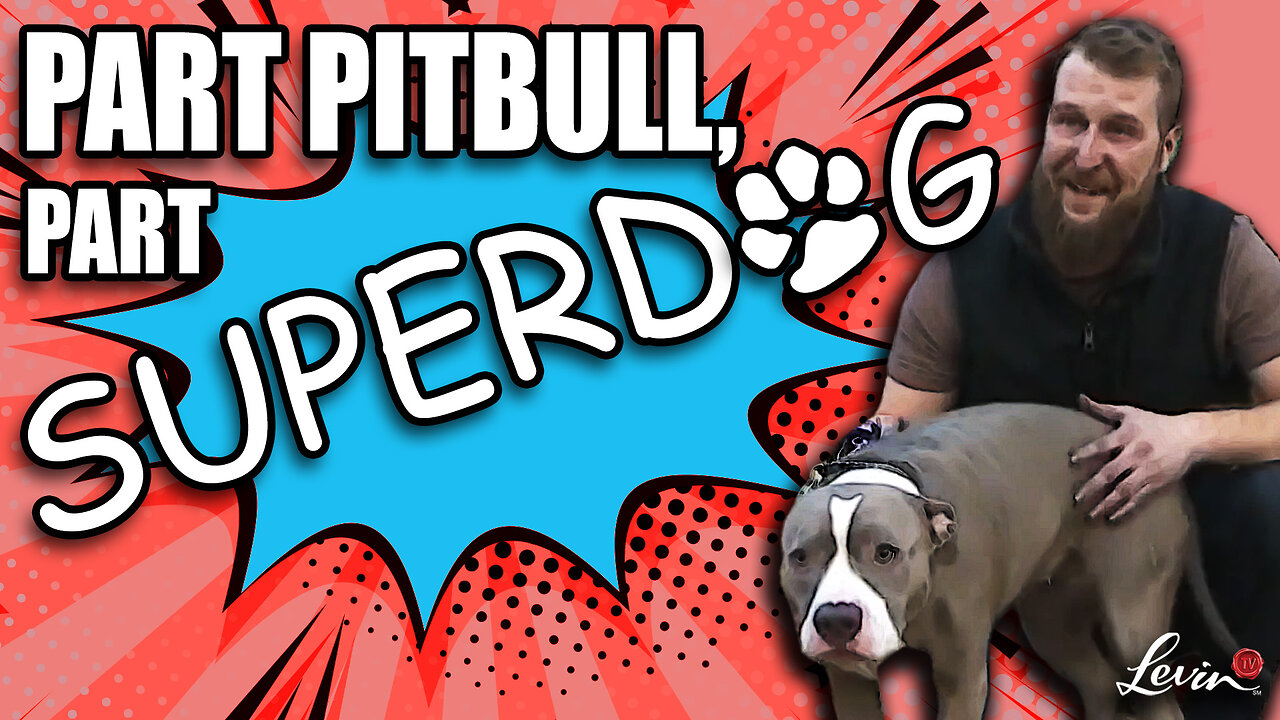 Part Pit Bull, Part Super-Dog