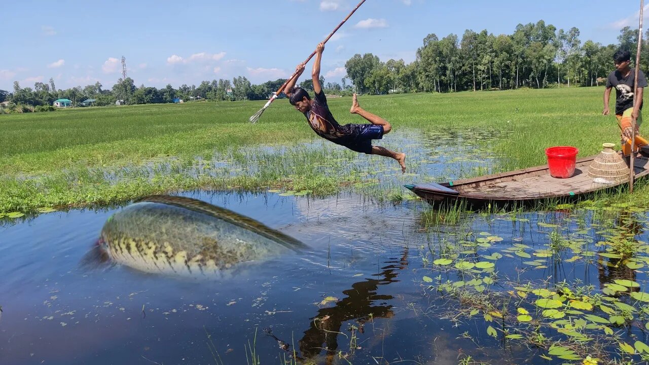 Flood Water Fishing From Boat - Rural Best Top 10 Fish Catching Video 2023