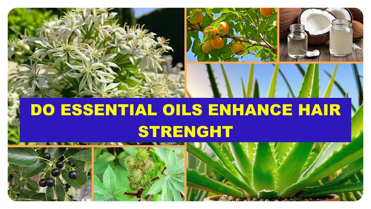 Boost Your Hair's Resilience: The Power of Essential Oils Explained