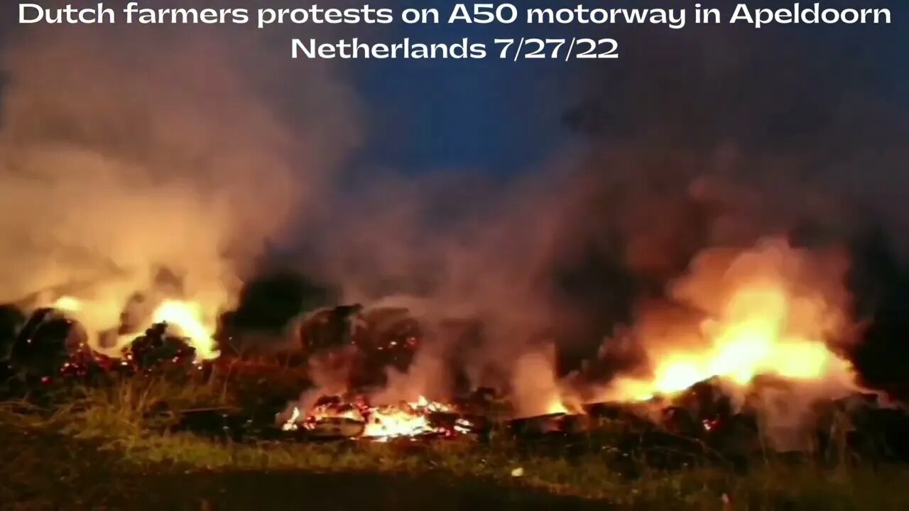 Dutch farmers protest on A50 motorway Netherlands