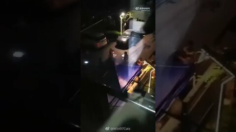 上海徐汇区田林街道三四居委主任韩佳 殴打孕妇团长！小区居民群情激愤，孕妇团长老公在方舱一线抗疫，居委会不做事还带头打人，要求道歉！