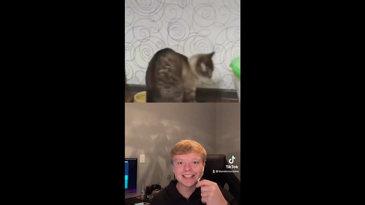 Funny Video