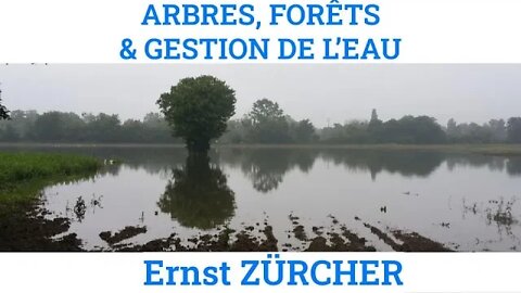 Arbres et forêts & de l'eau, par Ernst Zürcher