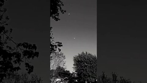 ᛫።•දුක අස්වනු නෙළන්නා•።᛫