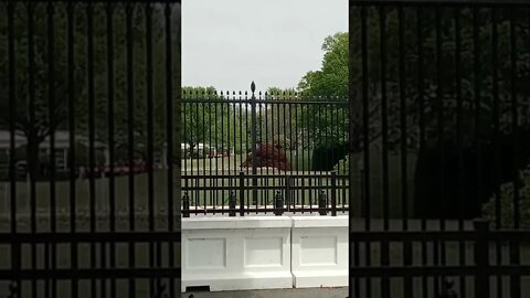 4/25/22 Nancy Drew in DC-Video 3- Tampa Bay Lightning Entering WH Property- Bet They Don't Go Inside