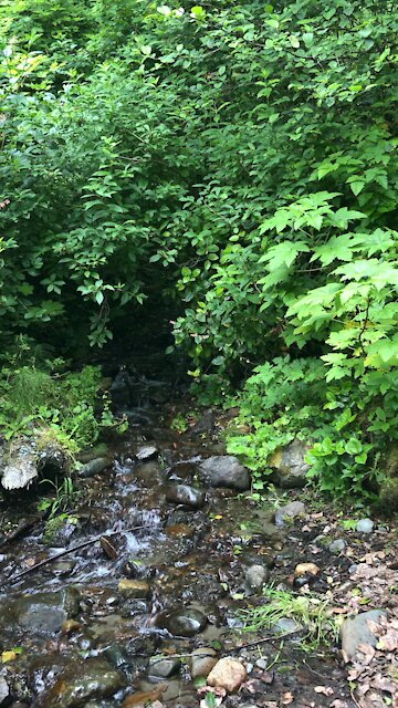 Sombrio beach hiking to hidden water fall