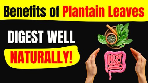 Health Benefits of Plantain Leaves: How They Boost Immunity and Aid Digestion