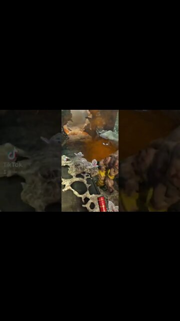 Half Life Alyx VR Jeff TikTok Gaming Videos 1