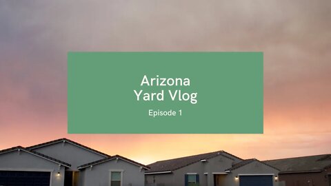 Arizona Backyard Landscaping | Pt 1