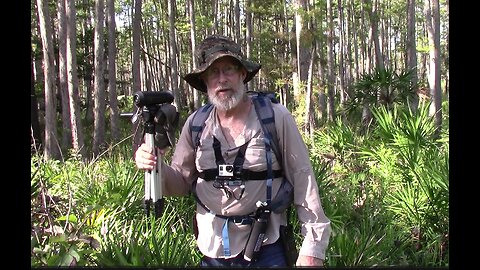 Bigfoot Researching During Summer Pays Off