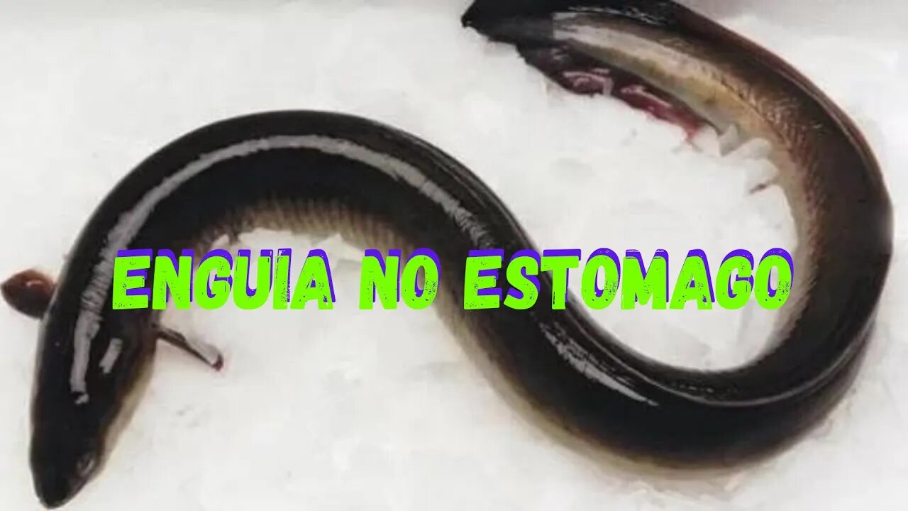 ENGUIA NO INTESTINO?#curiosidades #shorts #vocesabia #short #shortsvideo #shortvideo #shortsyoutube