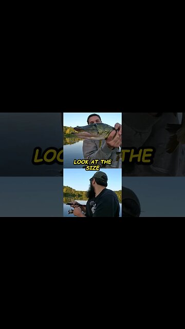 BEHEMOTH PICKEREL... 👹🐟