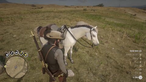 RED DEAD REDEMPTION 2