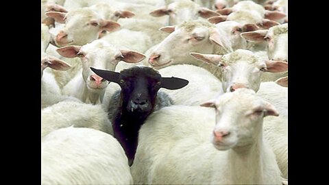 most people don't see themselves as a domino (bye bye liberty)