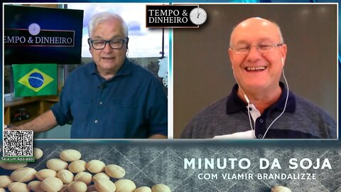 Milho mostra bom interesse nos portos