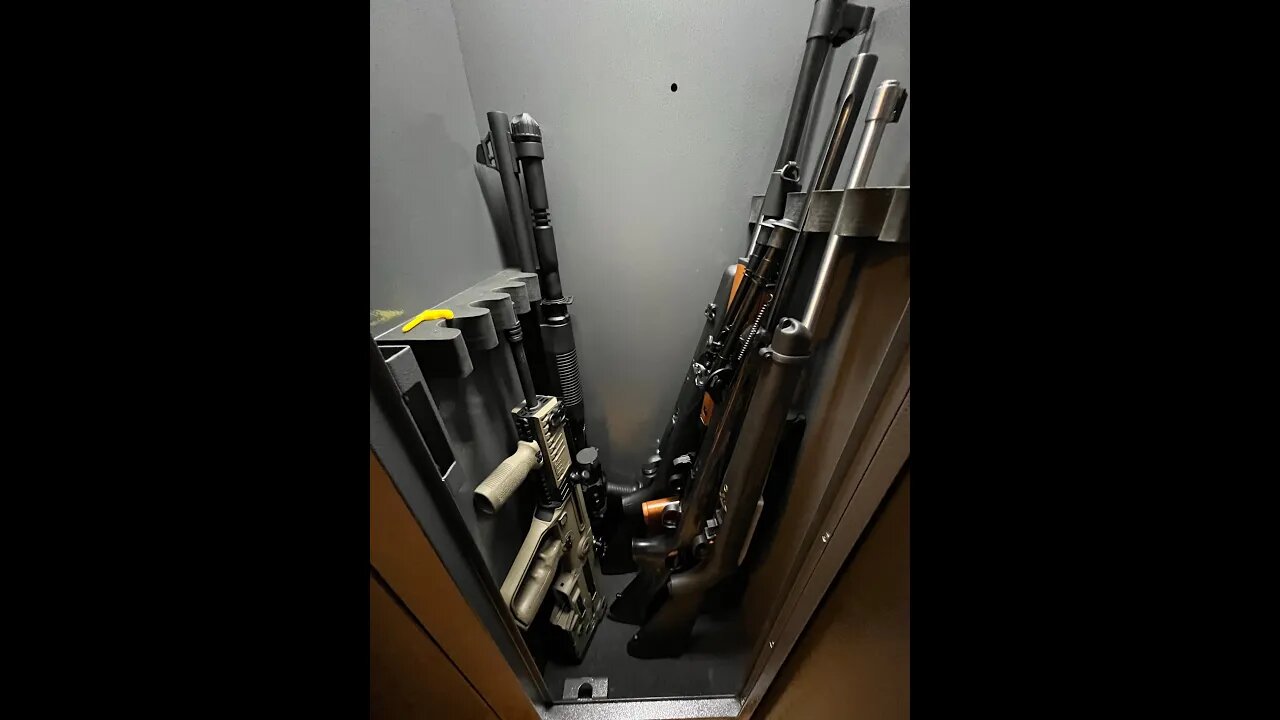 My Gun Collection 2023 (Safe Tour 2/2) #shorts