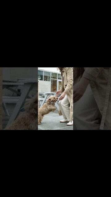 लोगों के साथ ऐसा होता है। Very funny video #trendingshorts #comedy #shorts #tiktok