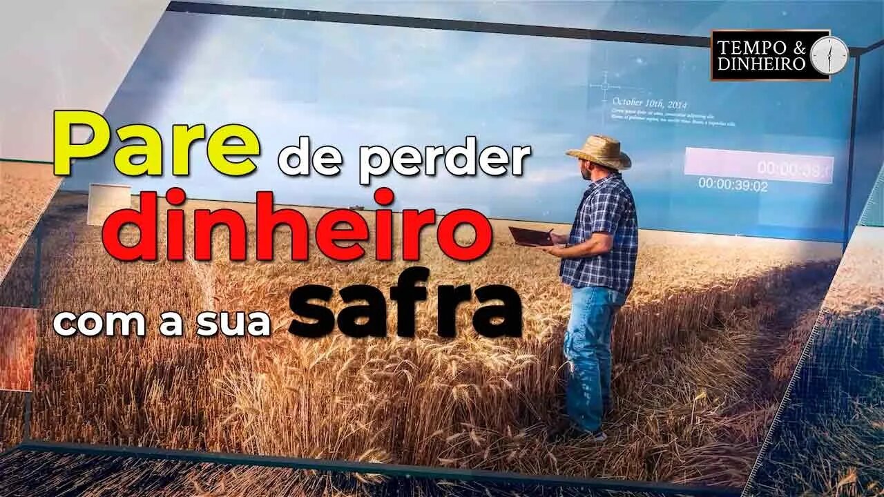 Pare de perder dinheiro com sua safra!!!