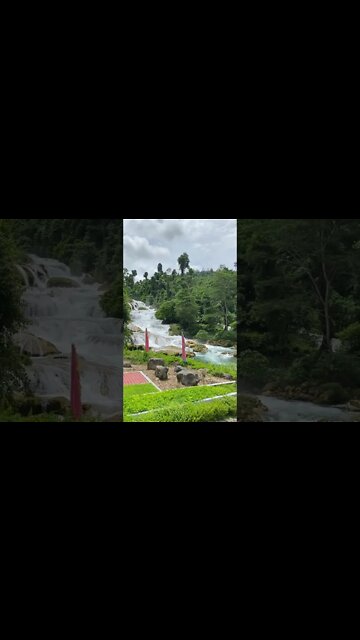 This is just an amazing place!🌴