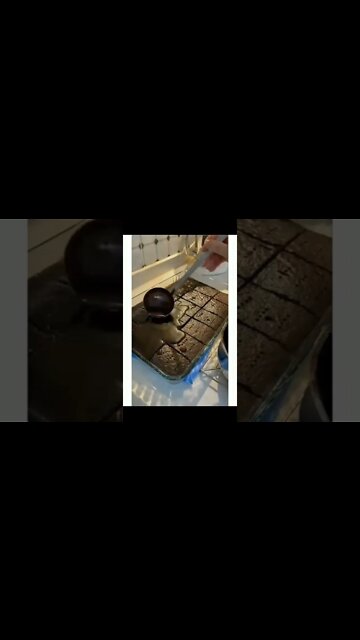 full chocolate cake kise pasnd hai tag your bhukd friends #foodies #foodie #cake #chocalete #cake