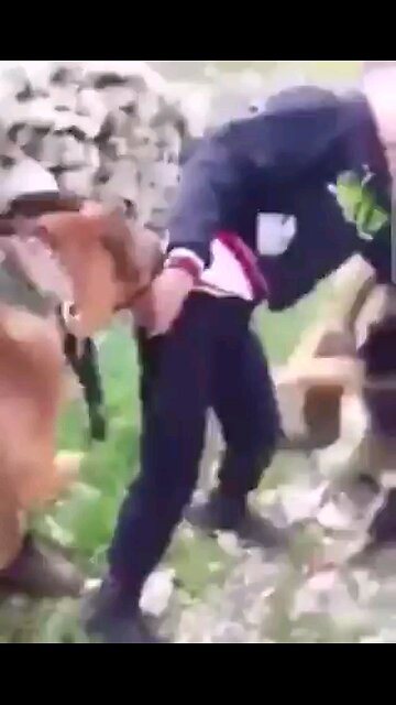 This is life in Palestine. The media will never show you this.