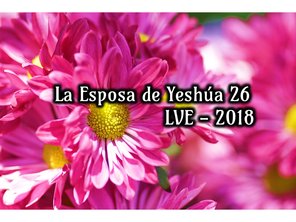 La Esposa de Yeshúa 26 - YHWH Ekjad 5