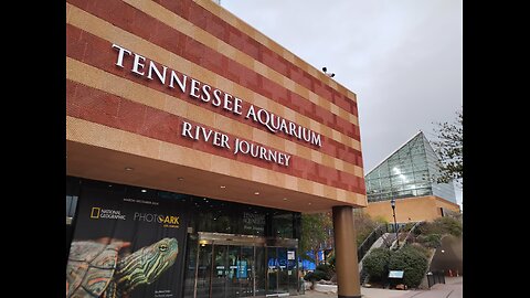 Tennessee Aquarium In Chattanooga