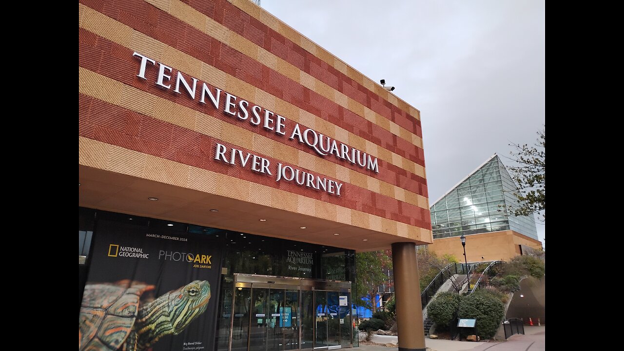 Tennessee Aquarium In Chattanooga